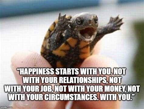 Happy Baby Turtle Memes Imgflip