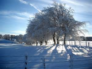 Snow Covered Fields And Trees Beside © Iain Thompson Cc By Sa20
