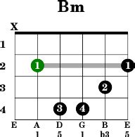 Plus bonus music theory at the end of the article. Bm - Guitar