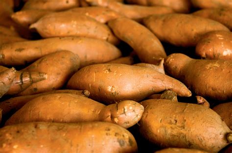 Pure Sweetness Facts About Sweet Potatoes Farm Flavor