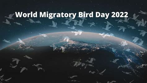 World Migratory Bird Day 2022 Observed On 14th May 2022