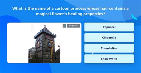 What Is The Name Of A Cartoon Trivia Questions Quizzclub