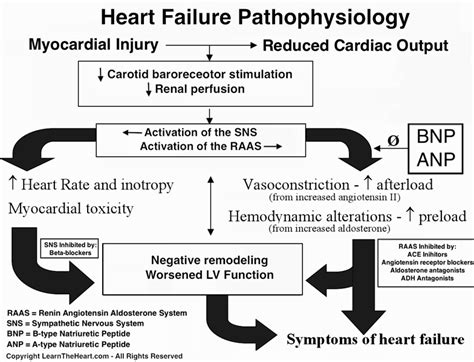 Congestive Heart Failure Systolic Topic Review