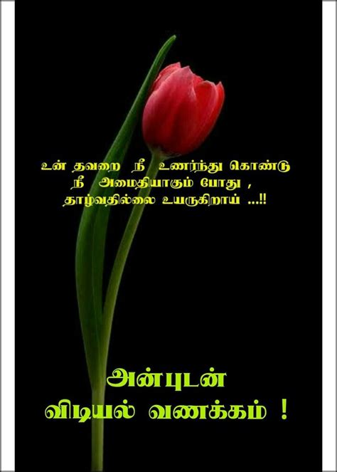 Pin By Bhanusree Rajendran On Tamil Tamil Love Quotes Motivational