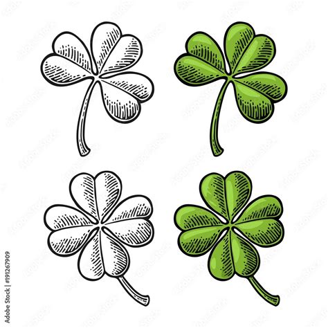 Good Luck Four And Three Leaf Clover Vintage Vector Color And Black