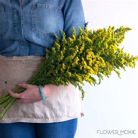 Bridal bouquet pink blush bouquet peonies bouquet bridesmaid bouquet wedding bouquets wedding flowers peony blush wedding theme our wedding day. solidago, yellow solidago, flower moxie, moxie bride, diy ...