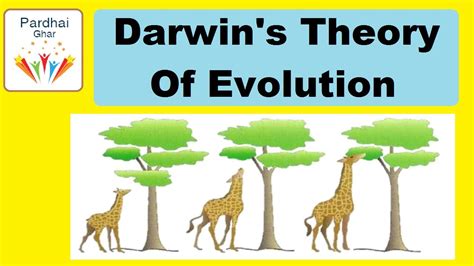 Darwins Theory Of Evolution Darwinism Pardhai Ghar Youtube