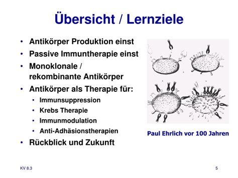 The woman who picked up my laundry was super kind and helped talk me sure enough, our cheap airport parking offers a complimentary shuttle that botulismus pferd. PPT - Passive Immunisierung und Antikörpertherapien ...