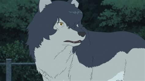 The Wolf Children Ame And Yuki Screenshots The Wolf Children Wolf
