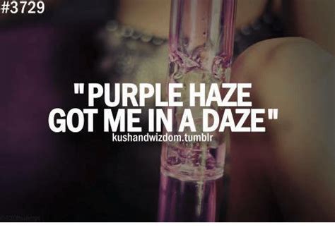 25 Best Memes About Purple Haze Purple Haze Memes