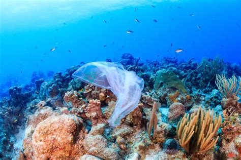 Ocean Floor Littering Has Caused Unprecedented Growth In Marine Waste Dump