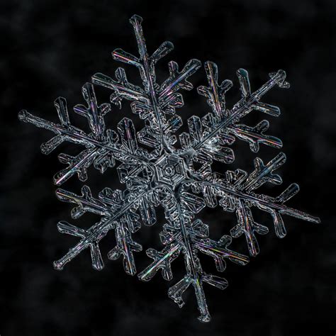 Barrie Photographer Captures Snowflakes Unique Beauty