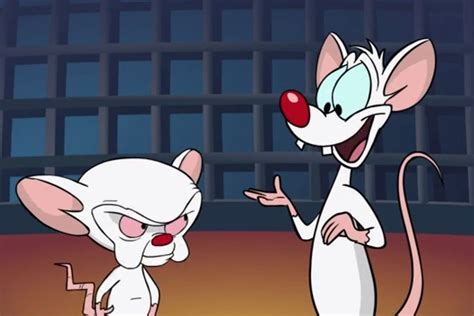 No, it has nothing to do with monkeys and dental floss. This 'Scientifically Accurate' Pinky & The Brain Cartoon ...