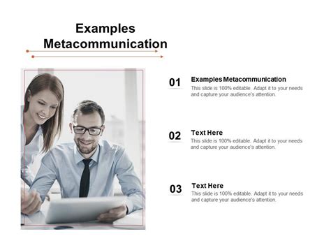 Examples Metacommunication Ppt Powerpoint Presentation Inspiration