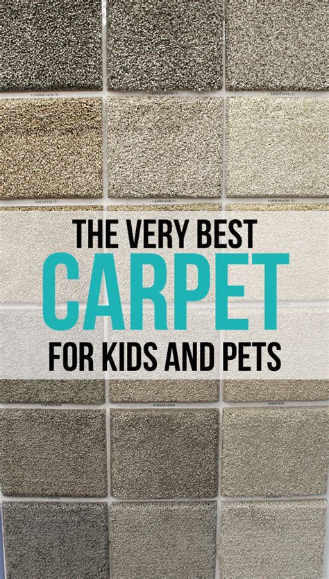 Learn how to choose floor coverings for your house. The Very Best Carpet for Kids and Pets - thecraftpatchblog.com