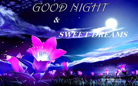 Each night, i ask the stars to listen closely to you wishes and to shine your path with radiance towards them. Heart Touching Good Night Messages For Friends | Wishes Guide