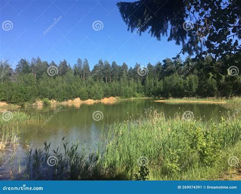 A Small Forest Lake Stock Image Image Of Autumn Reservoir 269974391