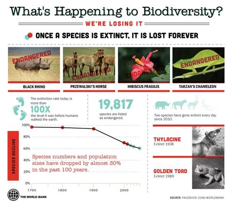 Syed Akbar Journalist: Extinction of species: We have lost 30 per cent