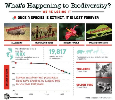 Syed Akbar Journalist Extinction Of Species We Have Lost 30 Per Cent