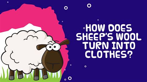 Cool Facts About Sheep How Are Clothes Made Out Of Sheeps Wool Youtube