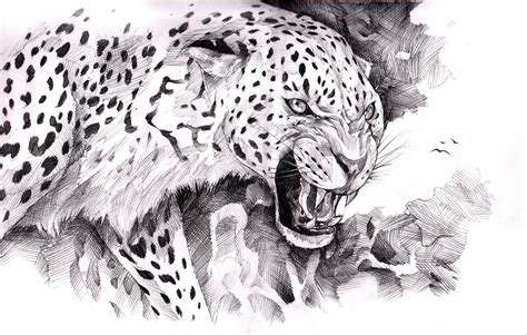 Jaguar Painting Art Animals Wallpapers Hd Desktop And Mobile