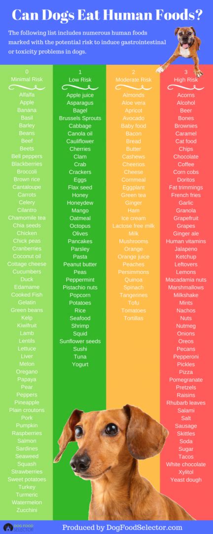 While most of the people read about the dangerous foods for dogs here is an article which will tell you more about what do dogs eat? Can Dogs Eat Human Foods? - Dogs Monthly