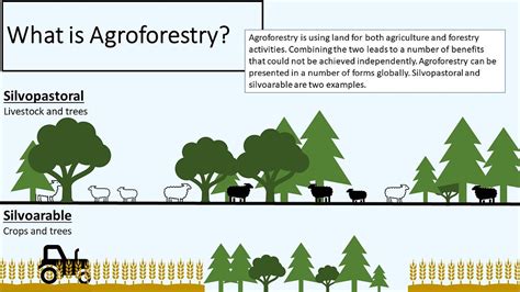Trees On Farms A Basic Understanding Of Agroforestry