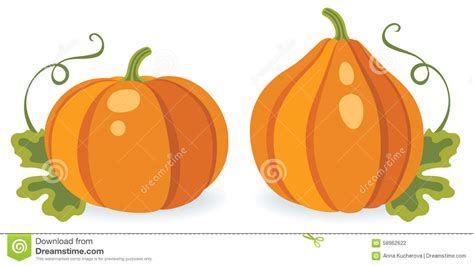 Two Different Pumpkins Stock Vector Illustration Of Icon 58962622