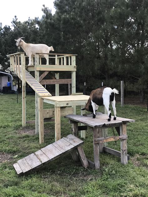 We Posting Goat Towers This One Was My First Covid Project In Mar R