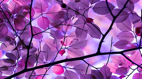 Purple Tree Wallpapers 4k Hd Purple Tree Backgrounds On Wallpaperbat