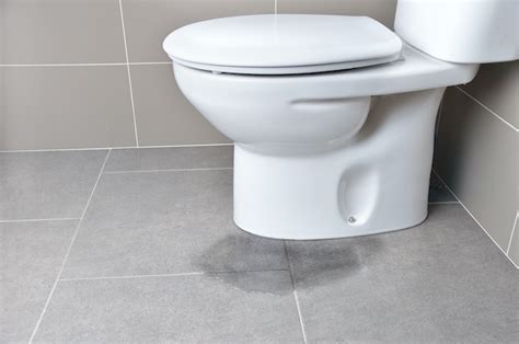 6 Steps To Fix A Toilet Leaking At The Base Prevention Tips Disarmare
