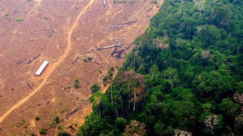Deforestation Before And After Amazon Rainforest