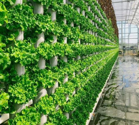 indoor farming is gaining popularity in 2023 growing magazine