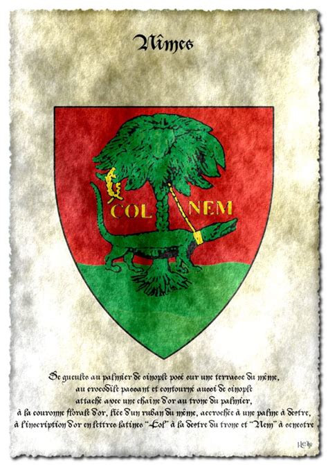 1535 erhielt nîmes von könig franz i. Arms of Nimes / Blason de Nimes by J-LE7 | Герб