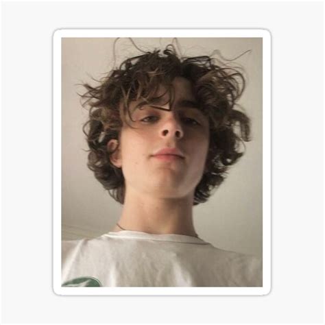 Timoth E Chalamet Selfie Sticker For Sale By Ricelikesfilm Redbubble