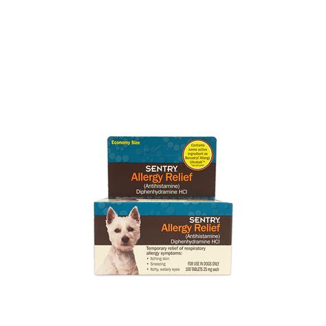 Allergy Relief Tablets 100ct