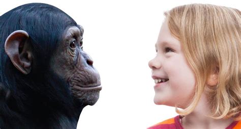 THE DIFFERENCE Humans and chimpanzees are easy to tell apart, even