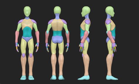 Man Anatomy Body Blocking D Model Man Anatomy D Model Character