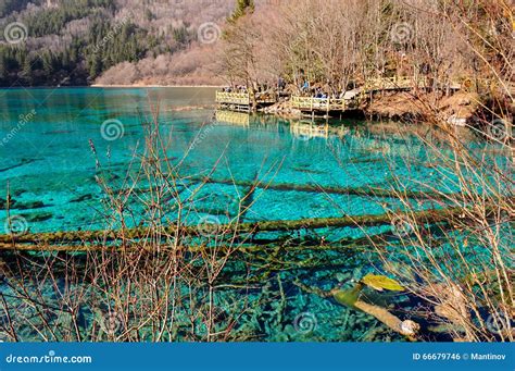 Colorful Lake In Jiuzhaigou China Stock Photo Image Of Forest