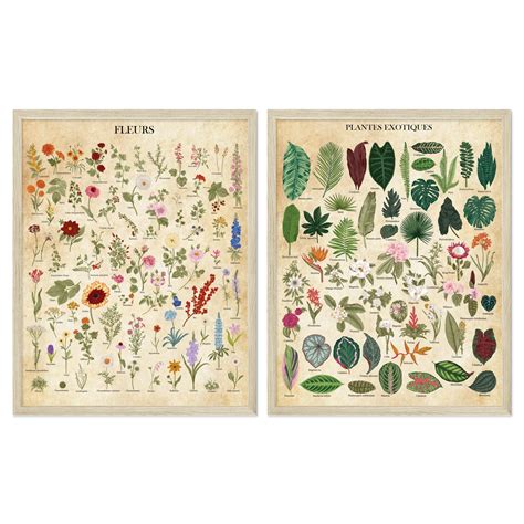 Vintage Botanical Prints Floral Wall Art By Ink Wildflower Prints Set