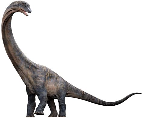 Jurassic World Dreadnoughtus Render 1 By Tsilvadino On Deviantart