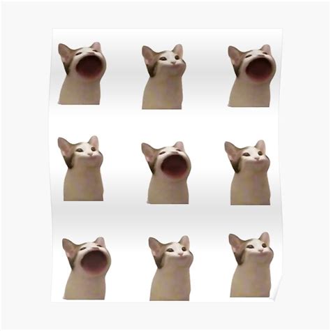 Pog Cat Posters Redbubble