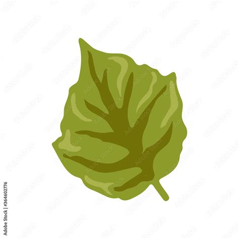 Green Leaves Of Plants Trees And Shrubs Nature Icons For Your Design