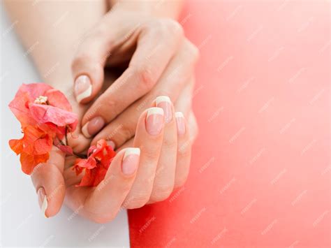 Premium Photo Close Up Woman Hands Holding Flowers