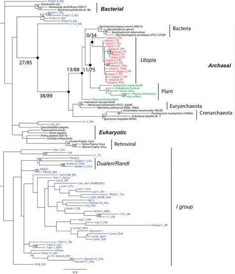 The Phylogeny Of Rnase H Domains From Oomycete Utopia Families Other Download Scientific