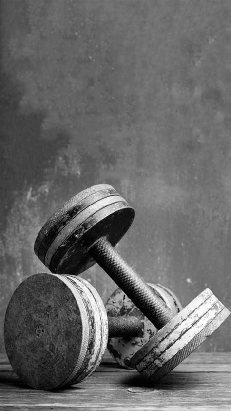 For Gym Lovers Aparelho De Musculação Motivação Para Fisiculturismo