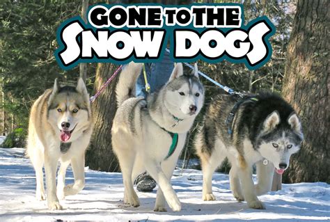 Gone To The Snowdogs Dftba