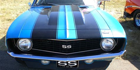 Muscle is a tissue in animal bodies. Quiz: Can You Name These Classic Muscle Cars And Trucks?