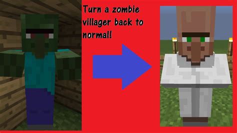 I cut the waiting time out. Minecraft Tutorial: How to turn a zombie villager back to normal - YouTube