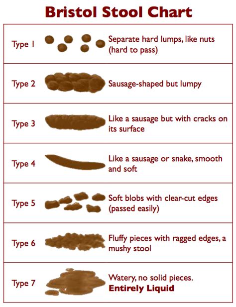 Bowel Movement Chart Meaning Picture And Types In